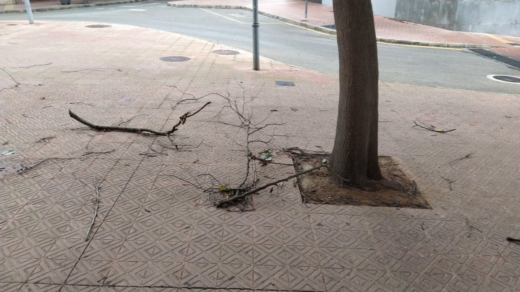 Lo que el viento se llevó