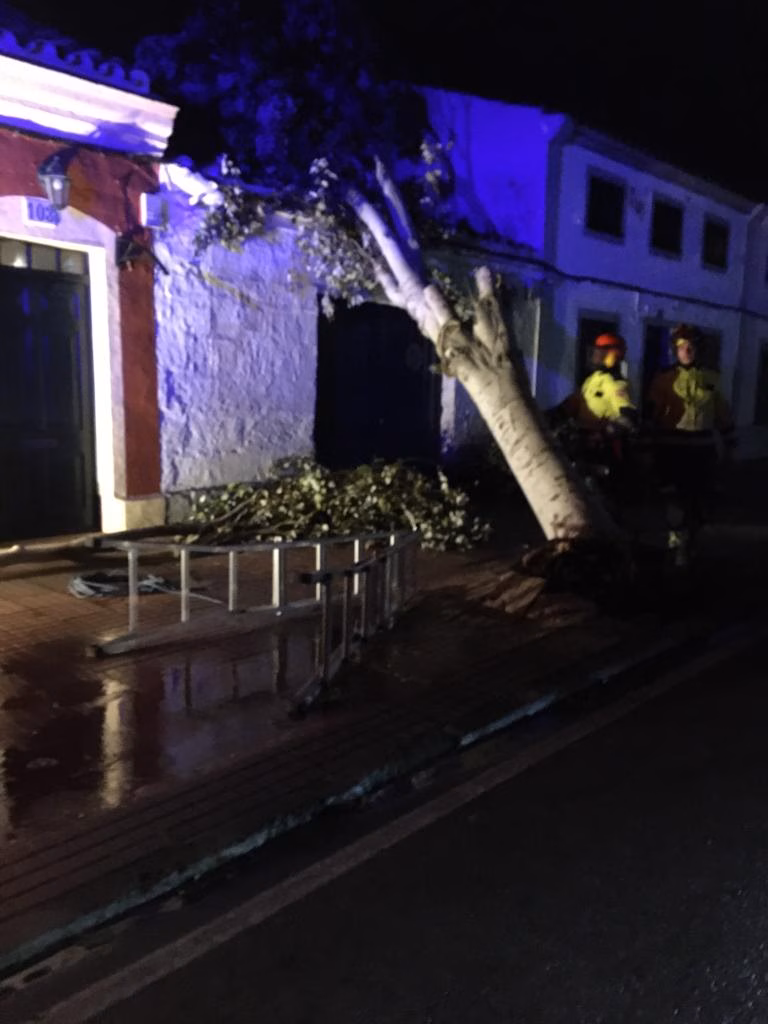 (Vídeo) Un barco se hunde en el Fonduco y un árbol cae sobre una casa en Maó