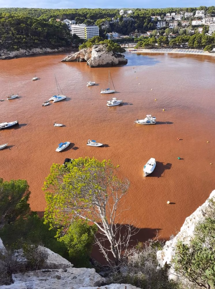 (La foto) Sin aguas cristalinas