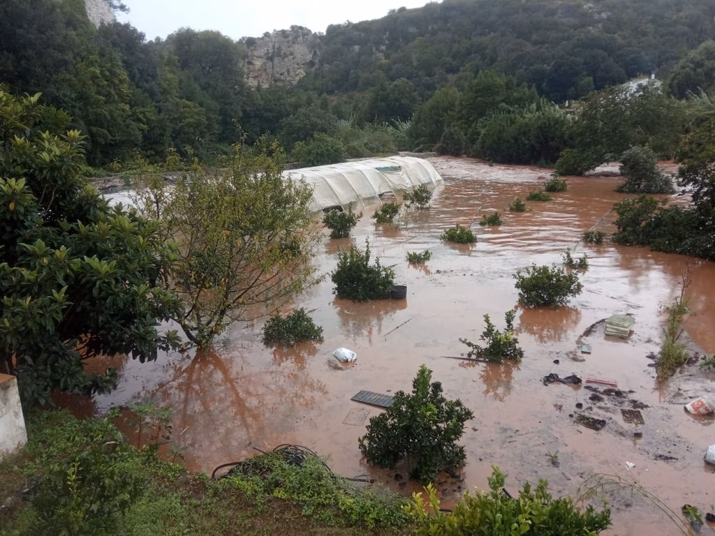 La lluvia destroza los árboles frutales de Cáritas en Ferreries