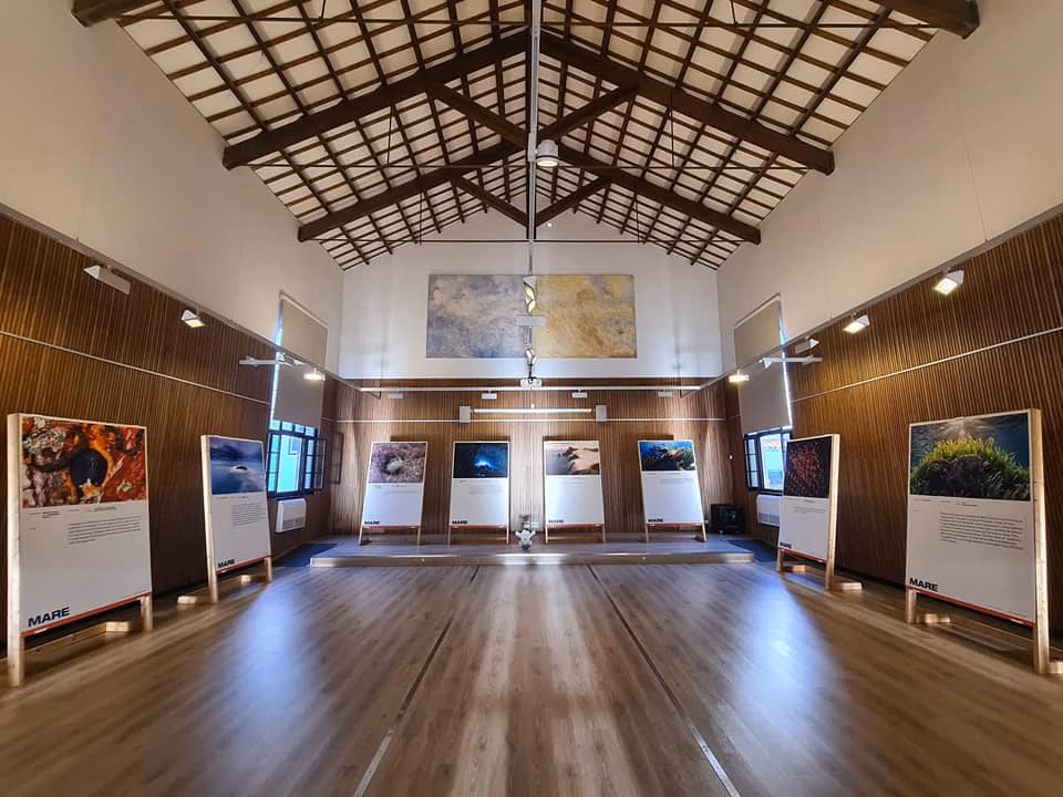 (Fotos) "Mare": una inmersión en el mar balear desde Maó