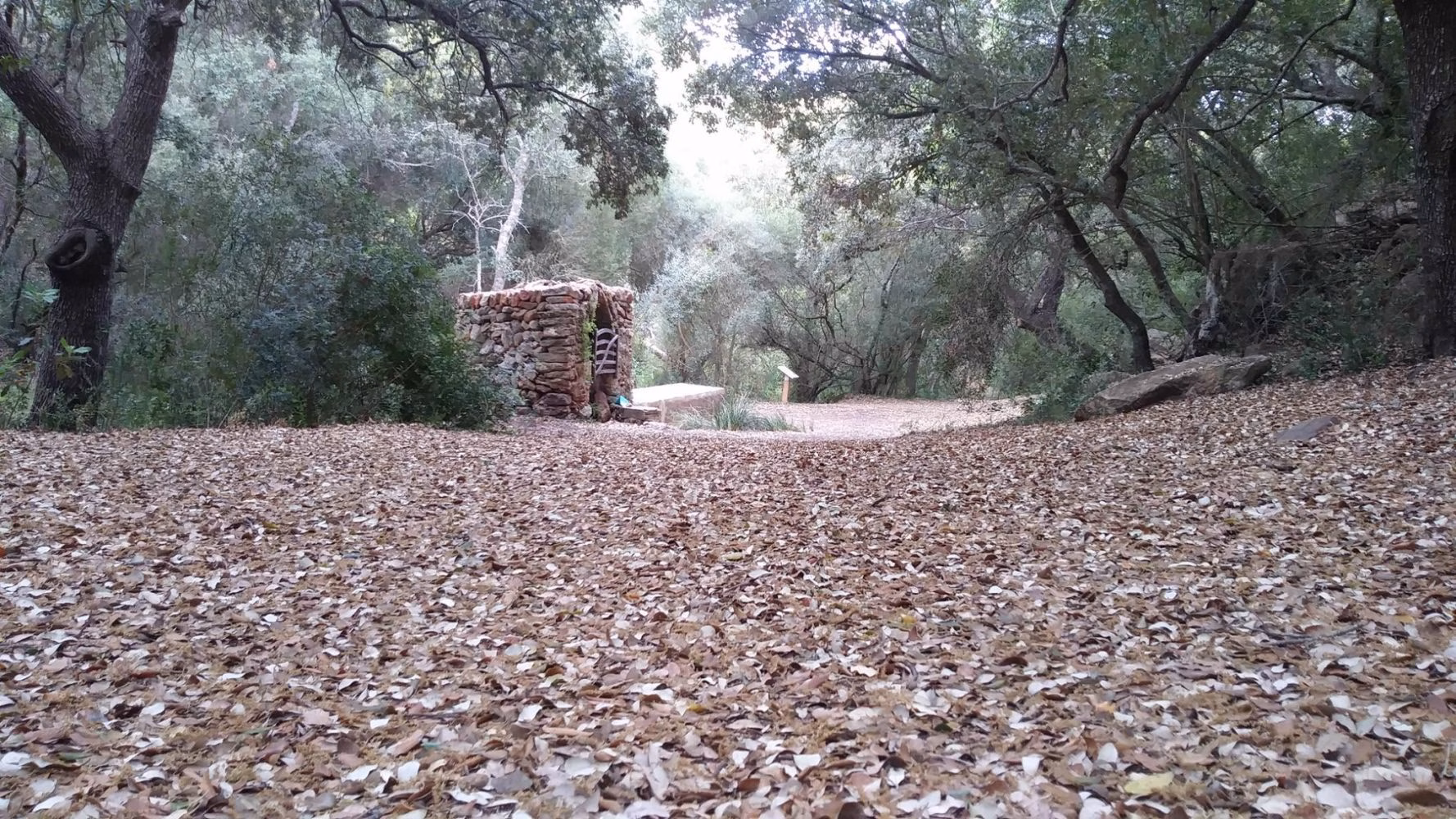 Menorca gestionará durante cuatro años más la finca de Alforí de Dalt