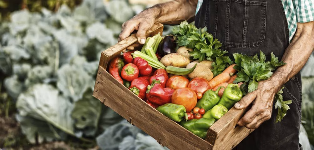 El consumo de producto local aumentó en Menorca un 13% durante el confinamiento