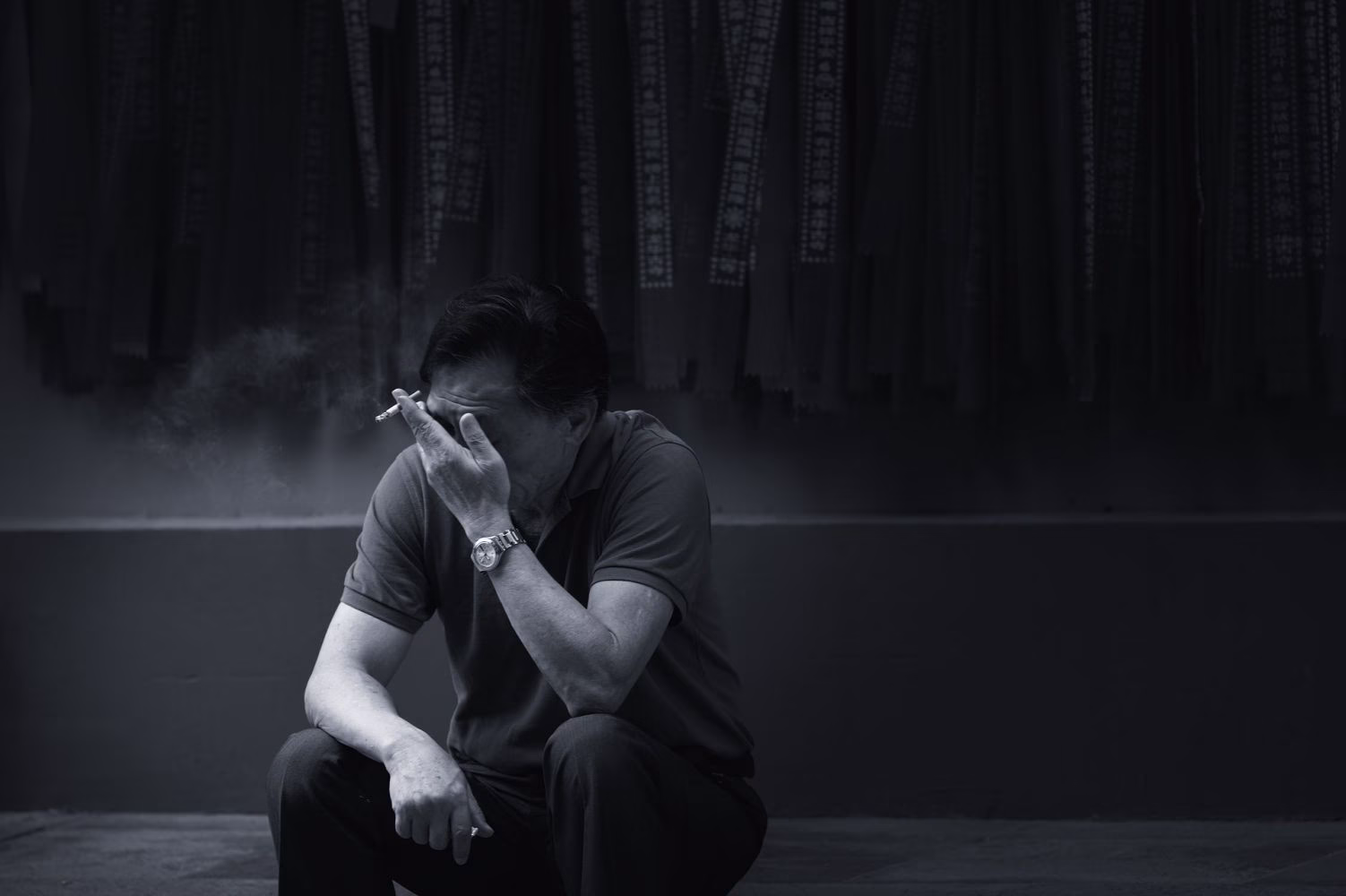 Emigrantes de pelo gris