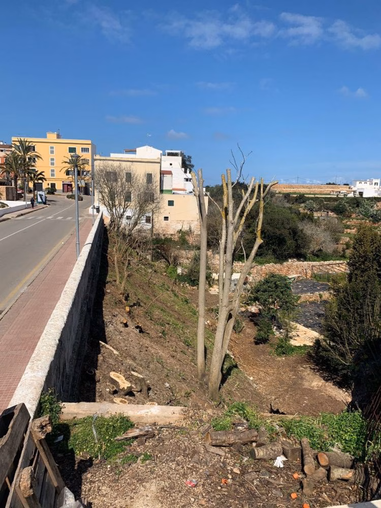 Finalizan los trabajos de limpieza de la zona municipal del Canal dels Horts de Ciutadella