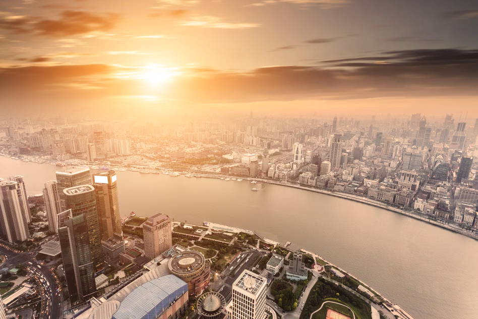 Raons de l'ansietat per separació