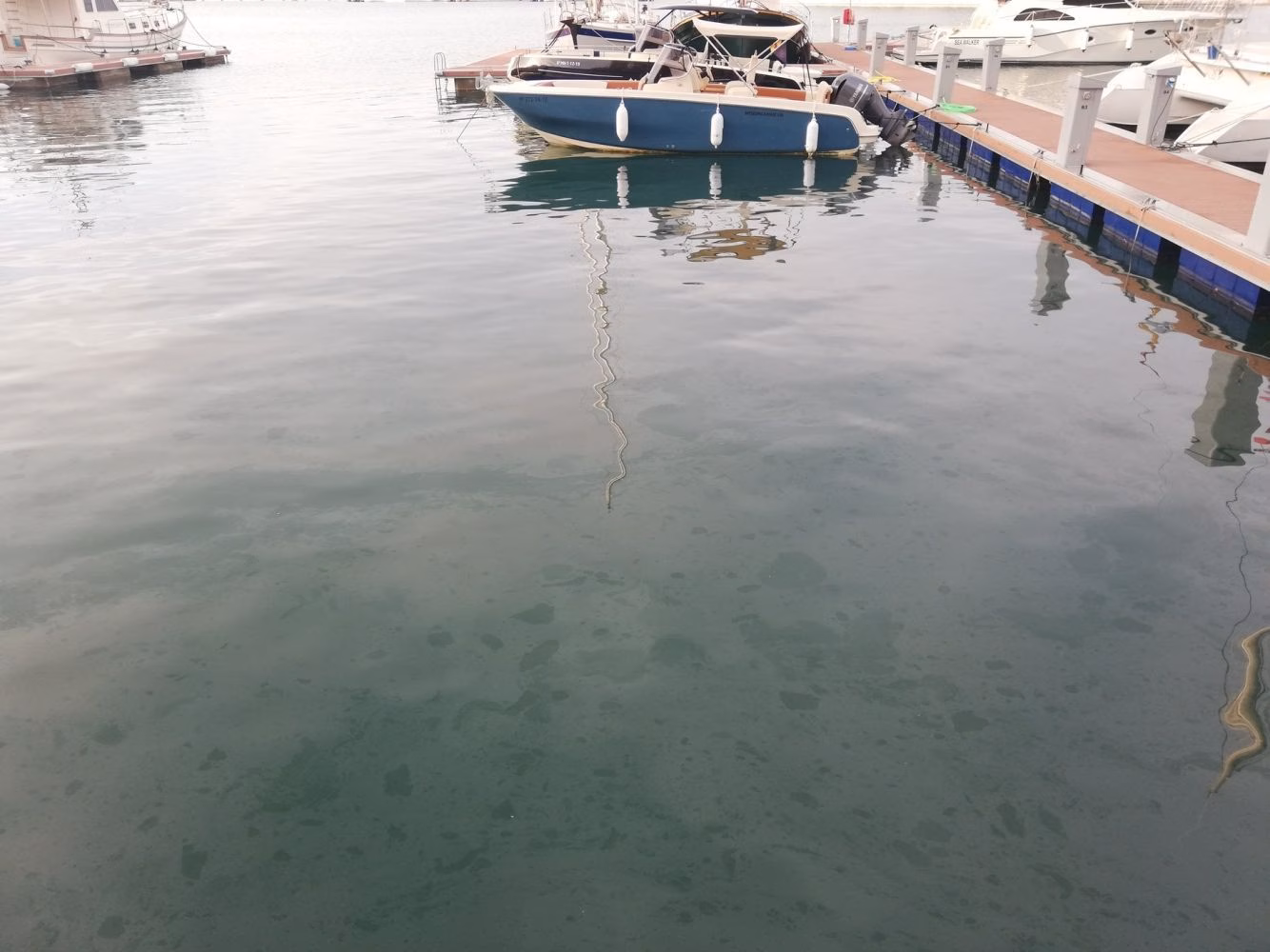 El GOB denuncia un vertido de combustible en el puerto de Maó