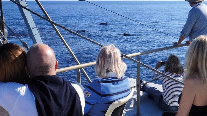 El GOB reclama una vigilancia más efectiva a la actividad pesquera en Menorca