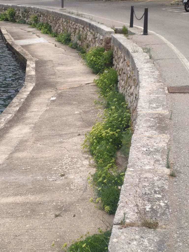 (Fotos-denuncia) Suciedad y exceso de luz en el Fonduco