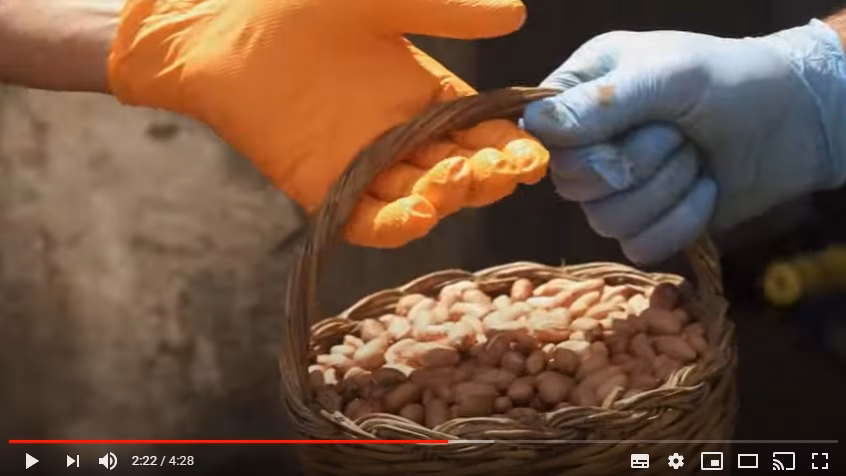 "Bé de Menorca" el vídeo que promociona el consumo del producto local