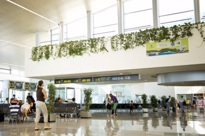 El Gobierno evitará los precios abusivos de las compañías aéreas