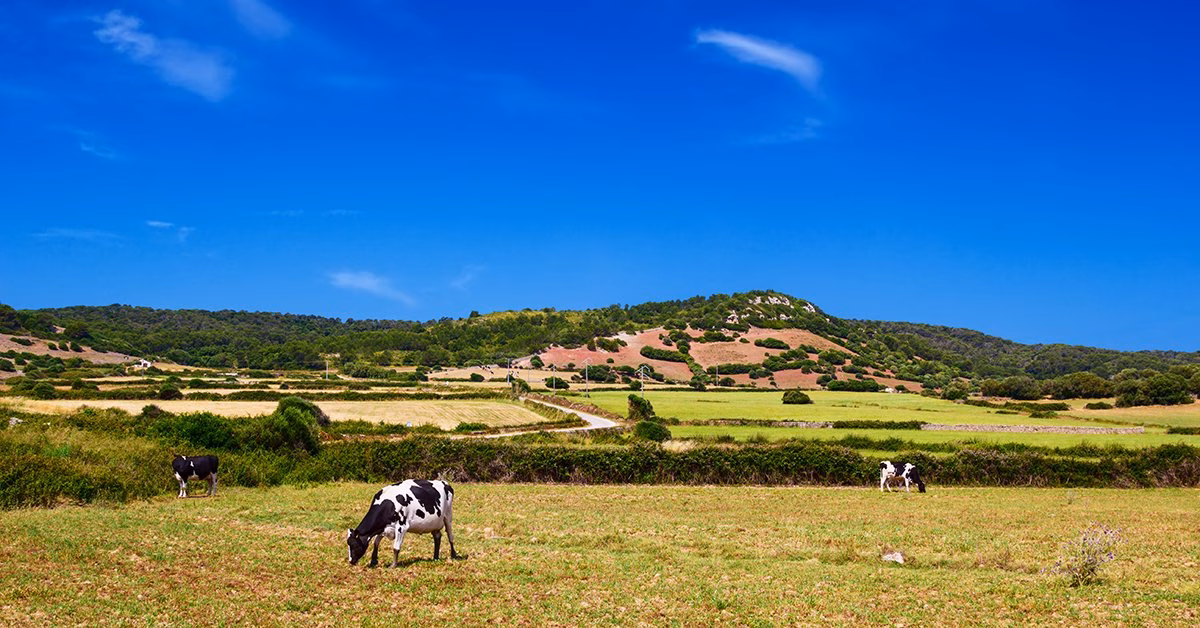 Al sector agrario de Menorca le preocupa la bajada de precios de sus productos