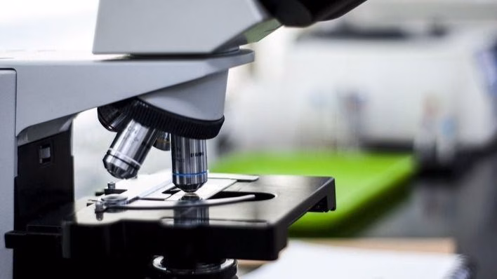 ¿Cómo es el coronavirus visto con un microscopio electrónico?