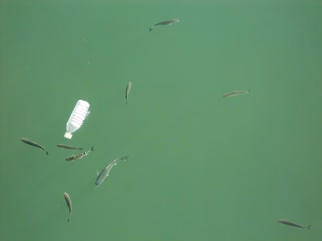 ¿De dónde viene la basura que flota en el mar?