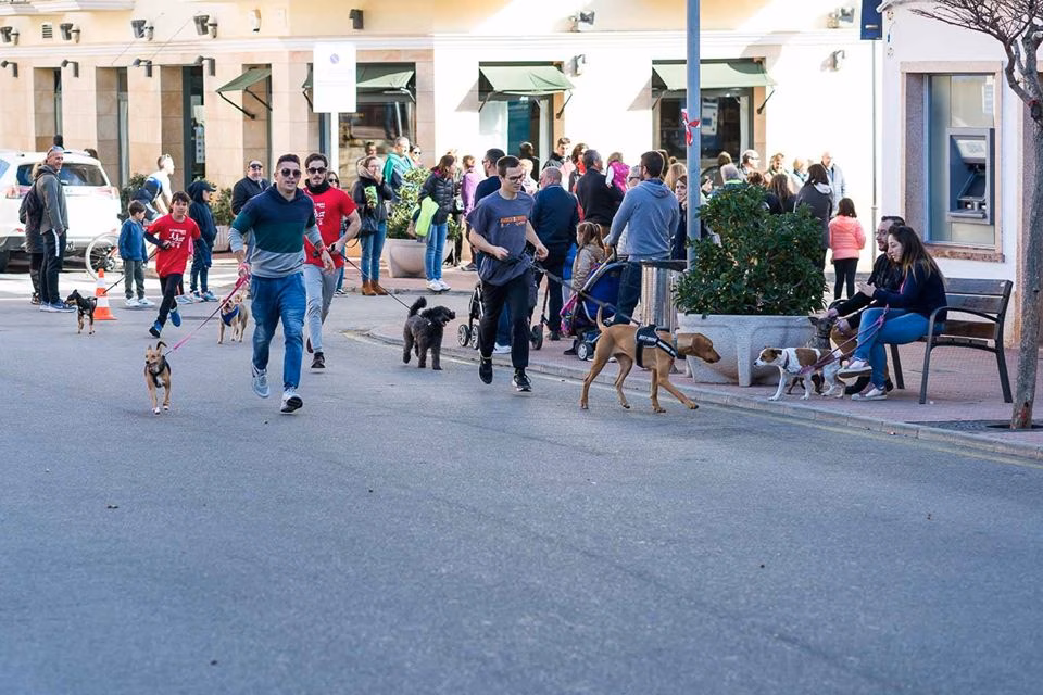 No hay evidencias científicas de que los animales transmitan el coronavirus