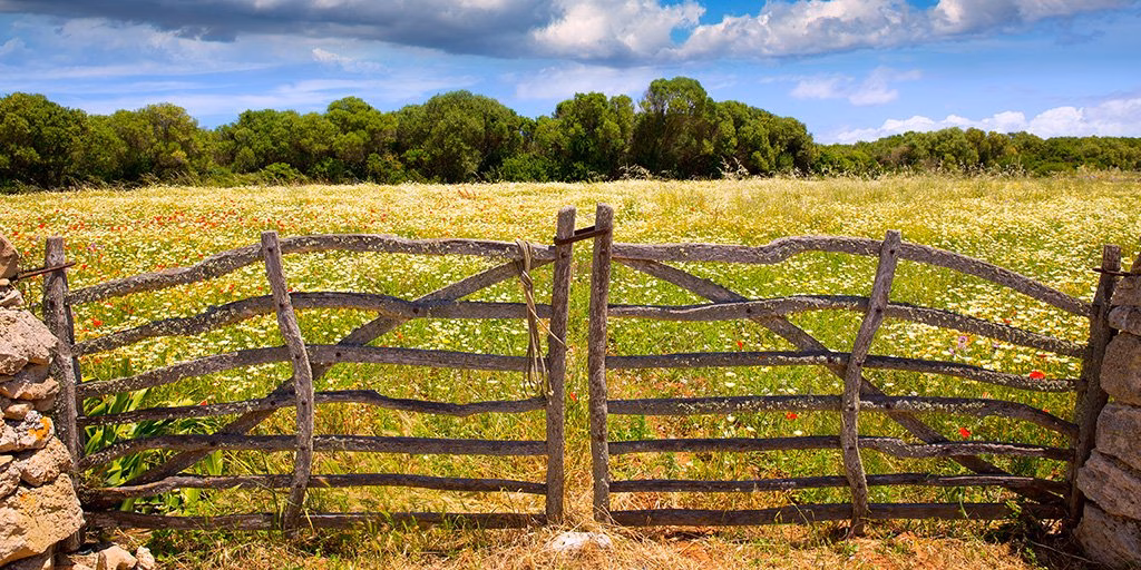 Sol y temperaturas cercanas a los 20ºC
