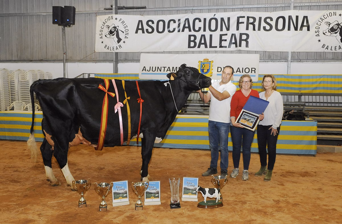 Alaior suspende la Fira del Camp por riesgo de contagio de coronavirus