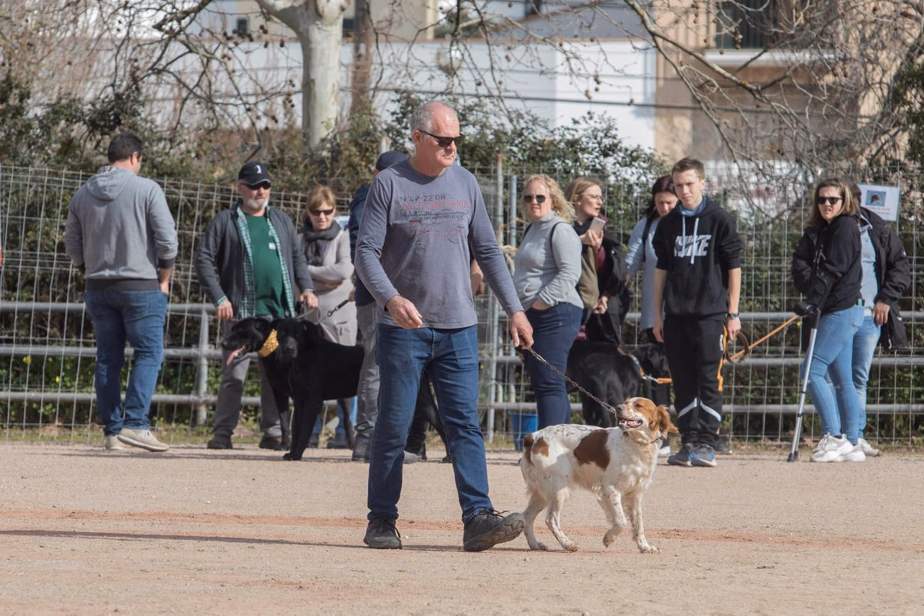 (Fotos) Éxito de la Fira de sa Perdiu en Es Mercadal