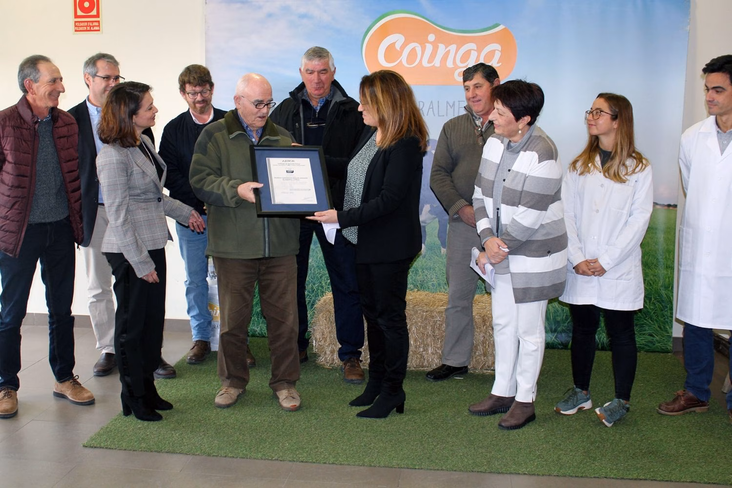Coinga cuida a su ganado