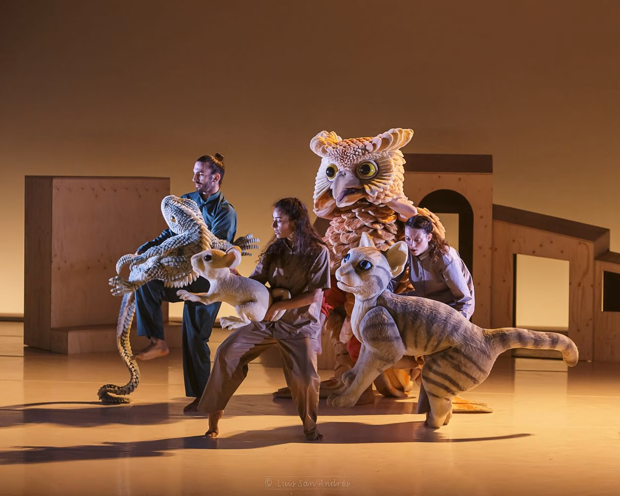 Danza, títeres y visuales: "La gata que volia canviar la història" llega al Teatre Principal