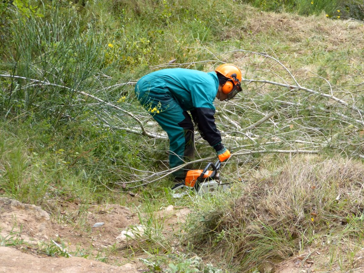 Endesa invierte 187.560 € en limpiar las zonas forestales más sensibles de Menorca