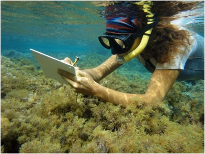 La Agencia de la Reserva de Biosfera subvenciona 5 proyectos de investigación ambiental