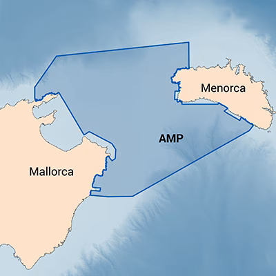 El área protegida del Canal de Menorca acumula 3,7 toneladas de plástico