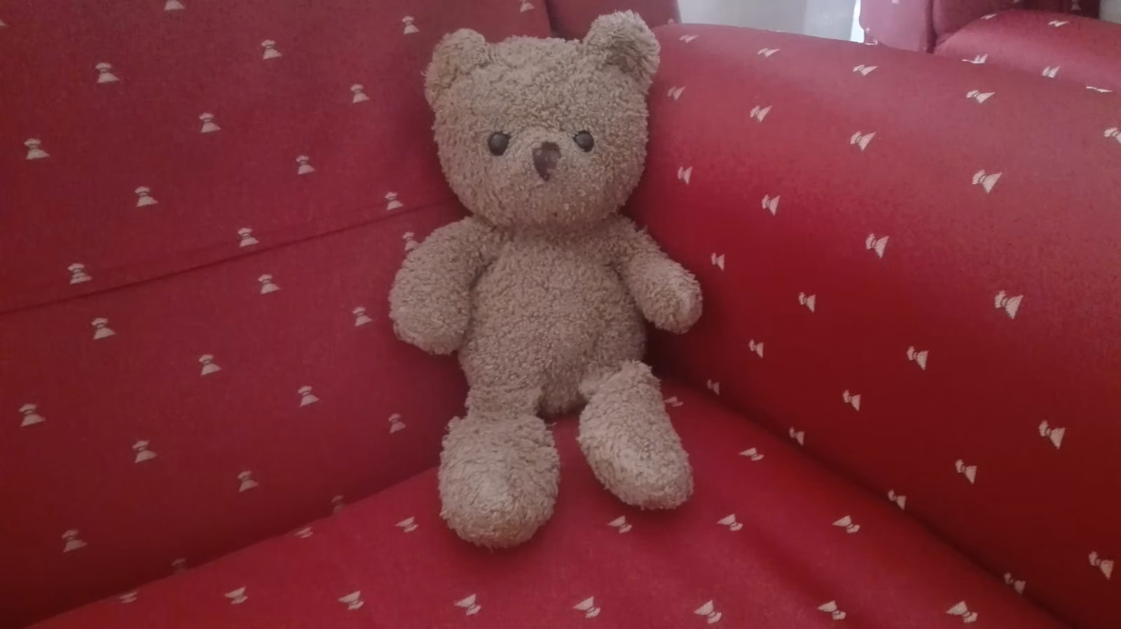 Operación 'Rescate del peluche'