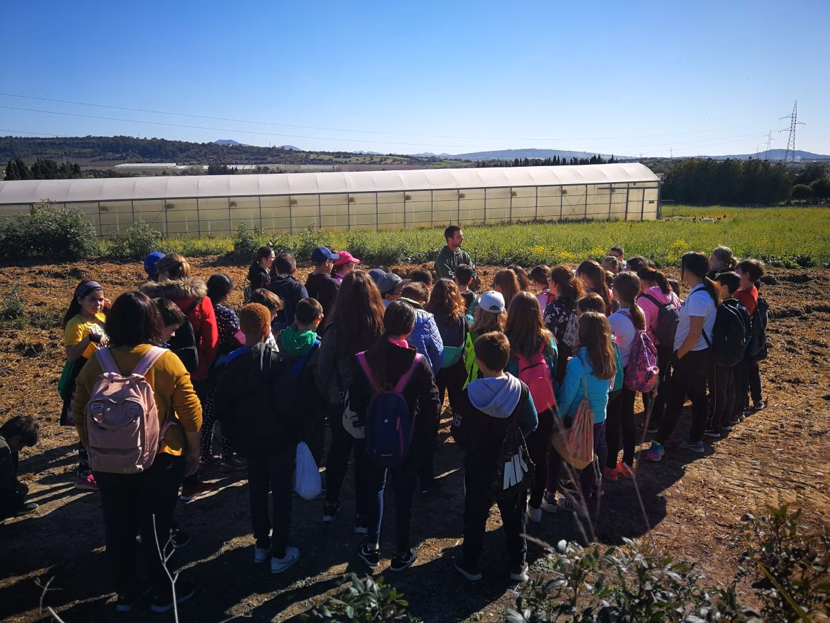 Promoción y divulgación del producto local de Menorca en las escuelas
