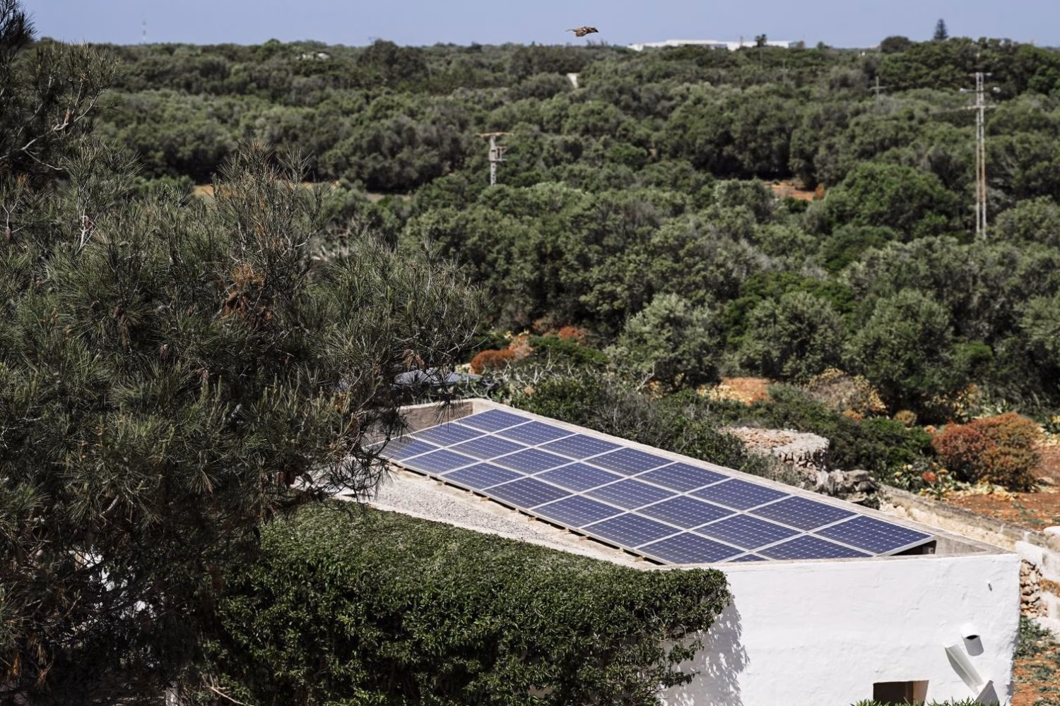 Menorca Reserva de Biosfera reparte 650.000 euros a comercios y hoteles sostenibles