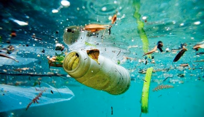 Programan una limpieza de plásticos en Binibeca y Cala Torret