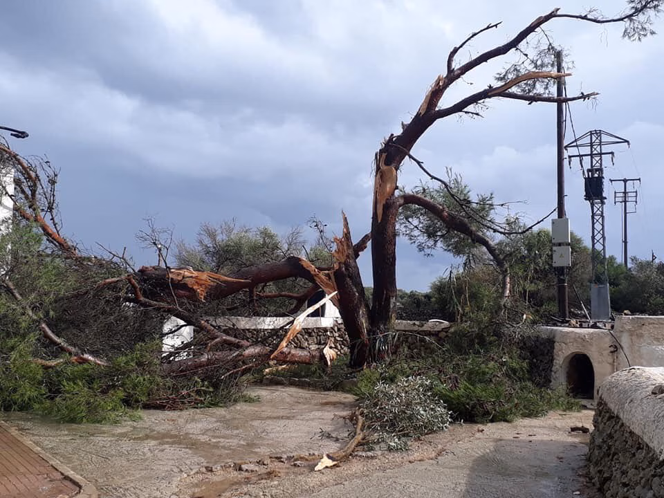 Primeros escritos ante el Parlament: Ciudadanos contra la turismofobia