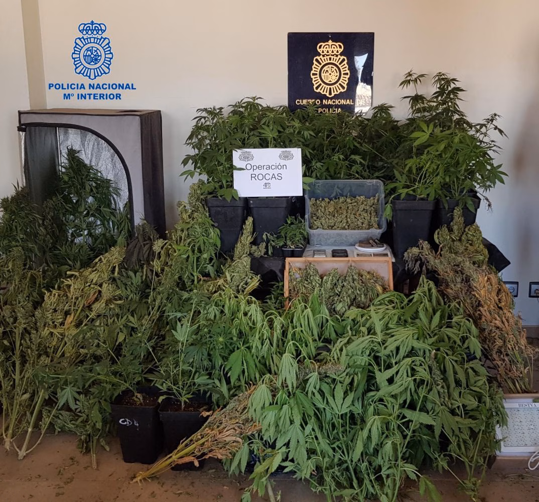(Fotos) Cinco detenidos en Menorca en dos operaciones antidroga