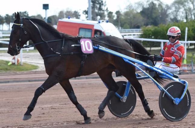 Trébol, el caballo fantástico