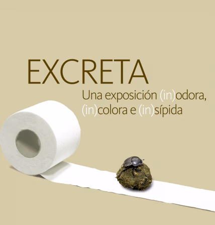 "Excreta", una perspectiva ecológica, médica, social y cultural