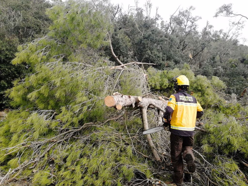 Ibanat adelanta quince días la campaña contra incendios para este verano