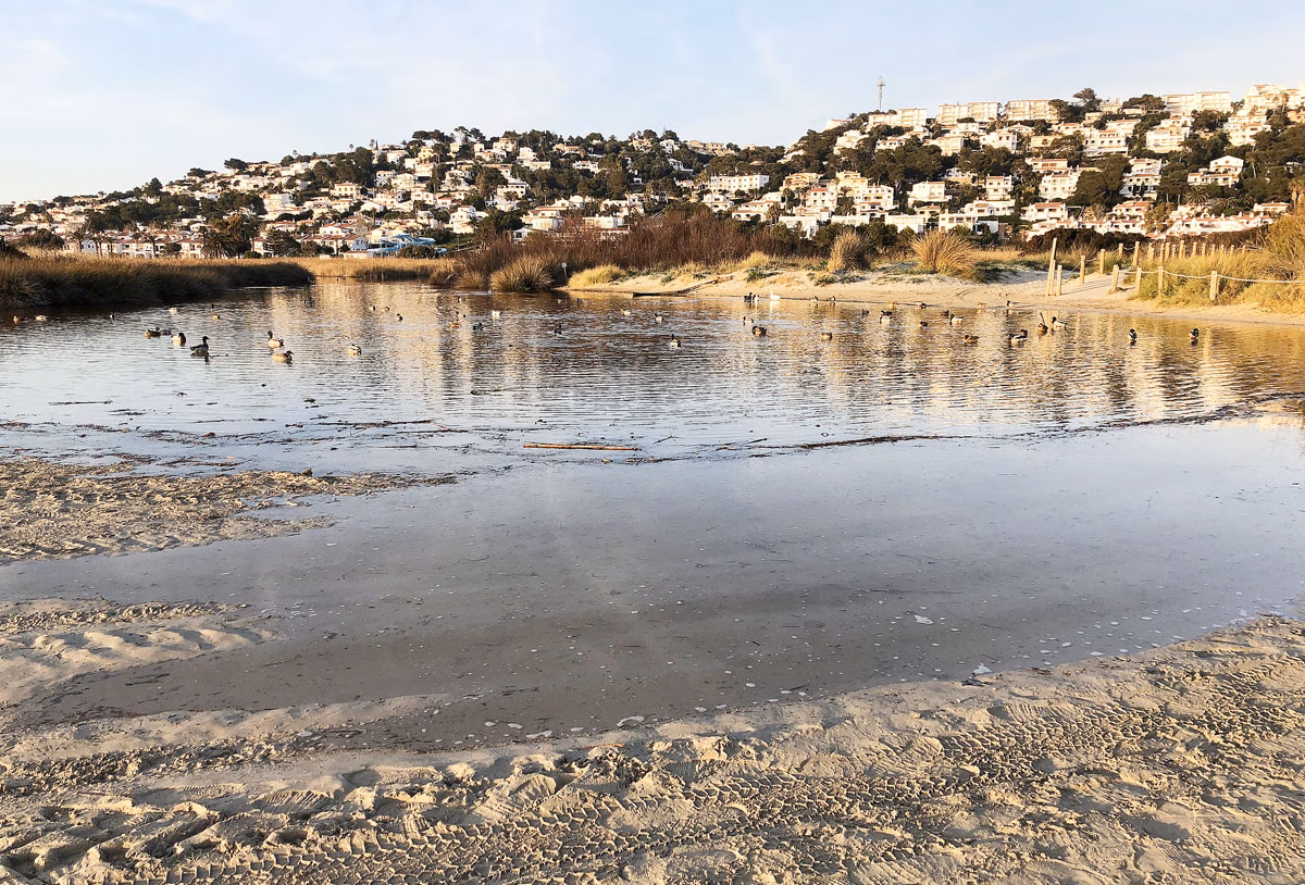 El GOB alerta sobre la depuración de aguas en Torre Solí (Alaior)
