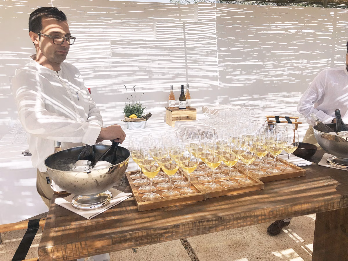 (Fotos) Torralbenc presenta sus nuevos vinos
