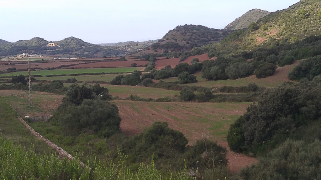 Propostes del GOB Menorca per a les eleccions locals i autonòmiques