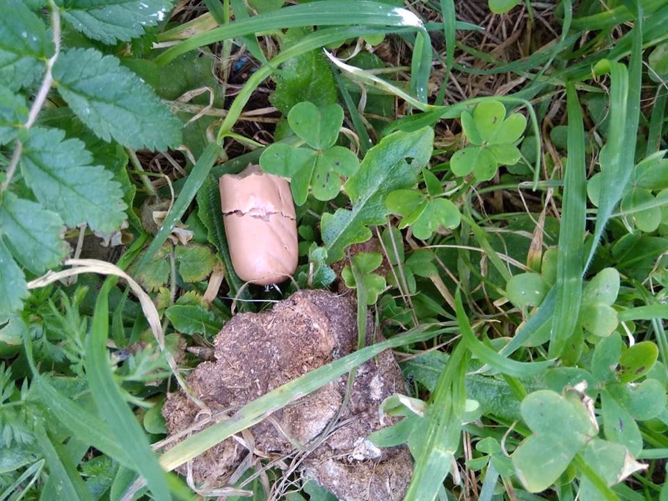 (Fotos) Encuentran trozos de salchichas con agujas dentro en Es Mercadal