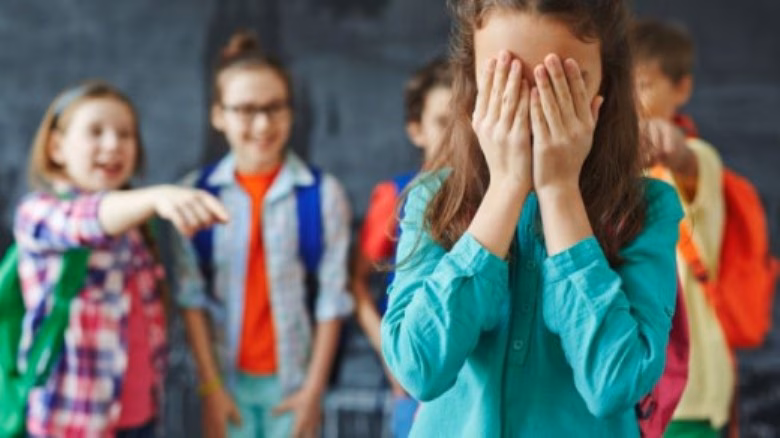 El acoso escolar puede aumentar la probabilidad de sufrir enfermedades mentales