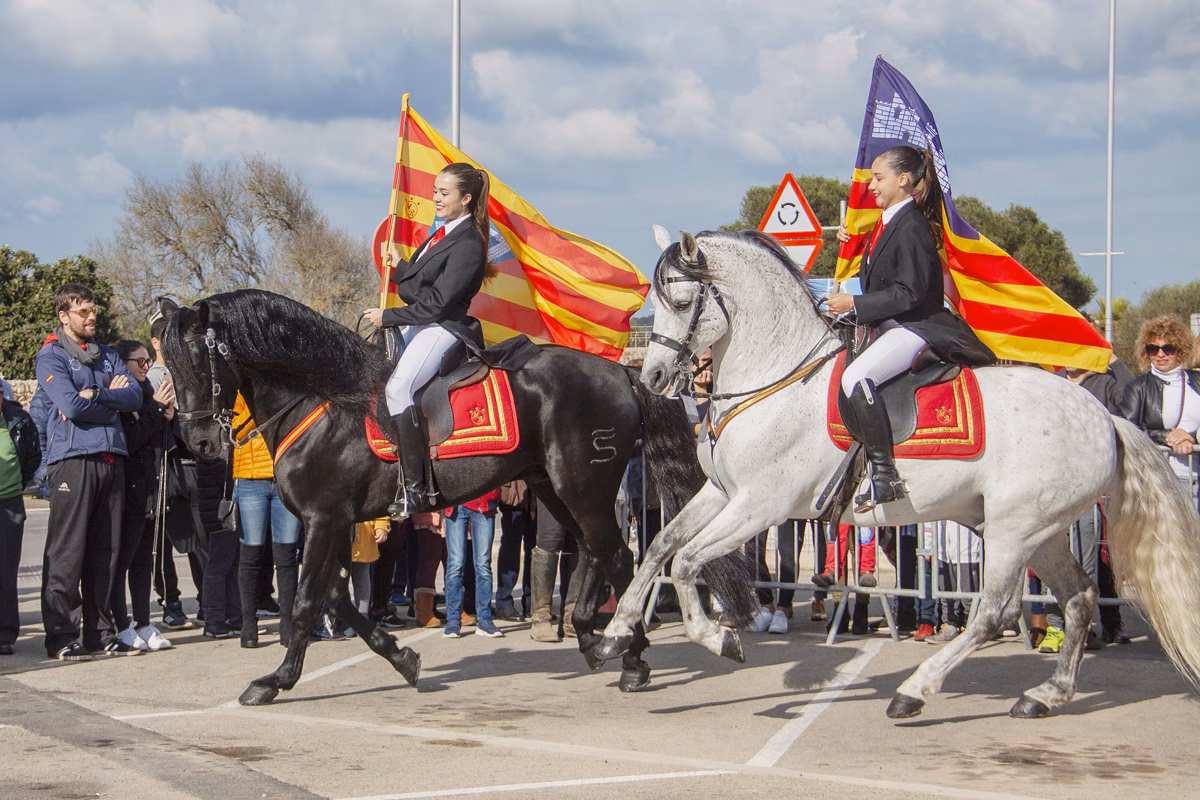 (Galería de fotos) Los animales, protagonistas de la fiesta de Sant Antoni en Sant Lluís
