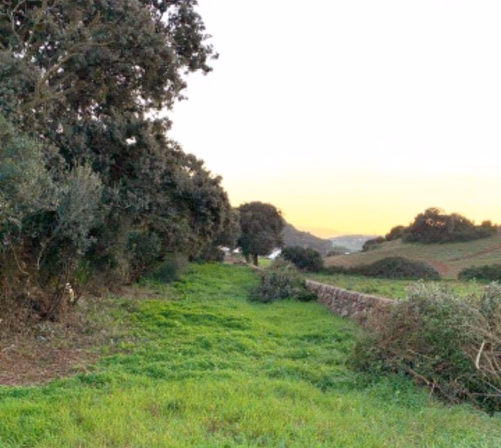(Vídeo) Voluntarios de Ferreries recuperan Es Repòs de S'Ull de Sol