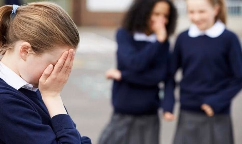 Quince menores detenidos por vejar a dos hermanos en un instituto