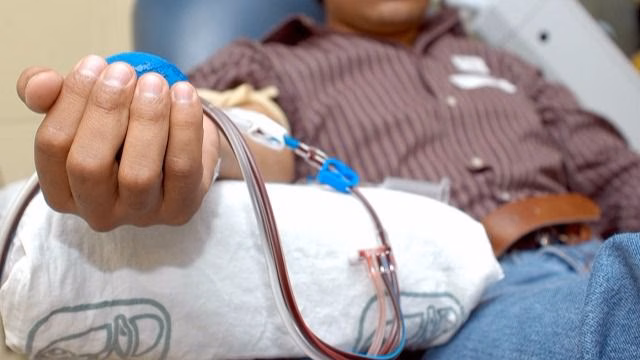 El Banco de Sangre hace un llamamiento a donar para garantizar las reservas en fiestas