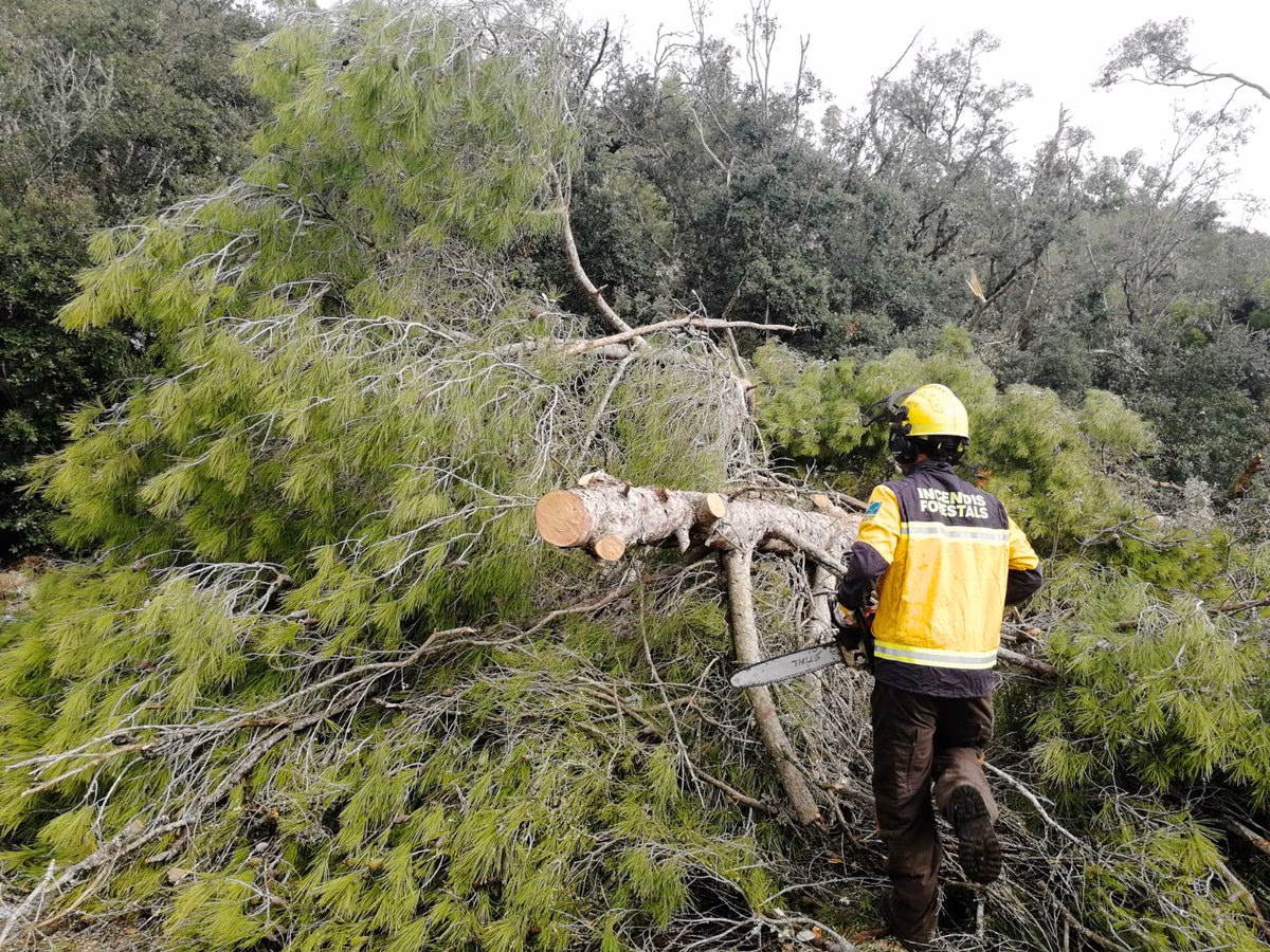 El Govern moviliza un operativo especial para actuar en Menorca
