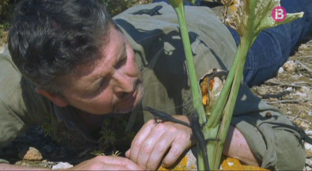 Proyección de"Náufragos de la evolución", el premiado documental de Toni Escandell