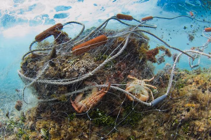 Campaña para recoger artes de pesca perdidos o abandonados en el mar