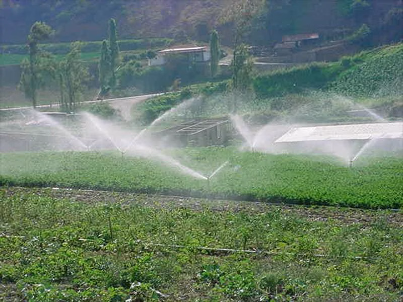 El GOB denuncia la inacción de Recursos Hídricos en el control de las explotaciones agrícolas