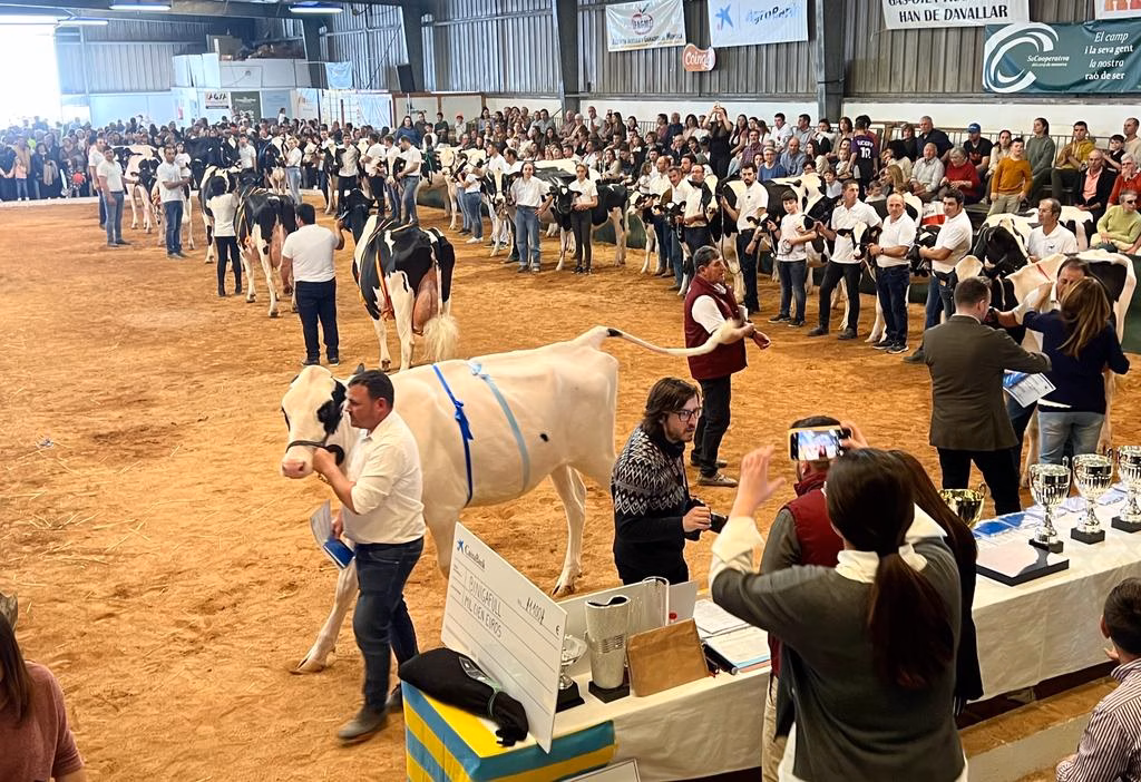 Agricultura espera celebrar en 2025 la Fira del Camp en Alaior, pese a la lengua azul
